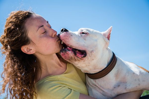 These are the benefits of hiring a dog-trainer
