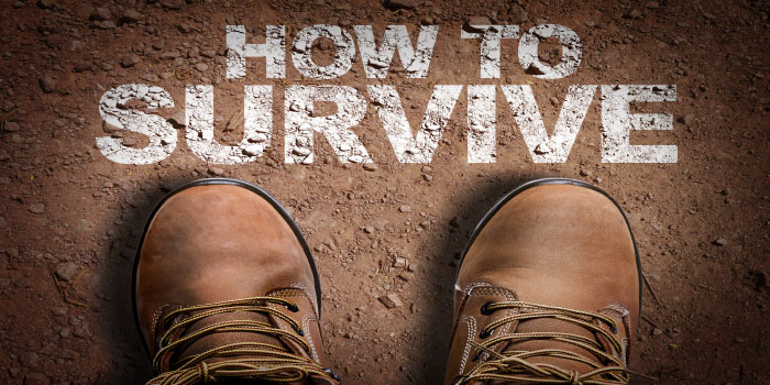 how to survive societal collapse