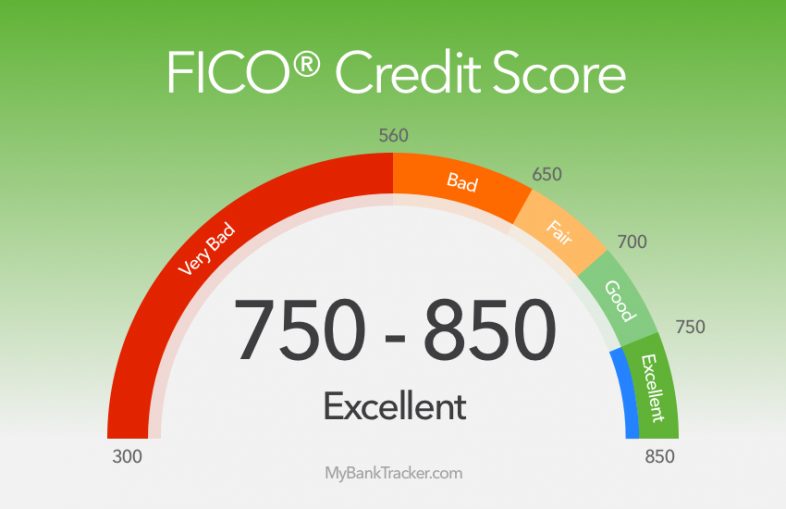 build your credit score