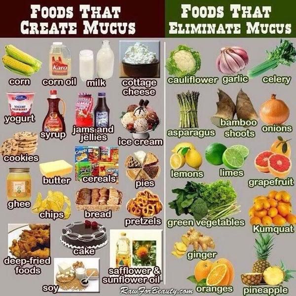 What Are the Benefits of Fibre, and What Type of Carbohydrate Is Fiber?
