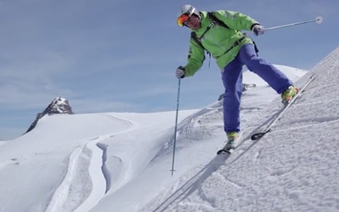 alpine skiing world cup standings