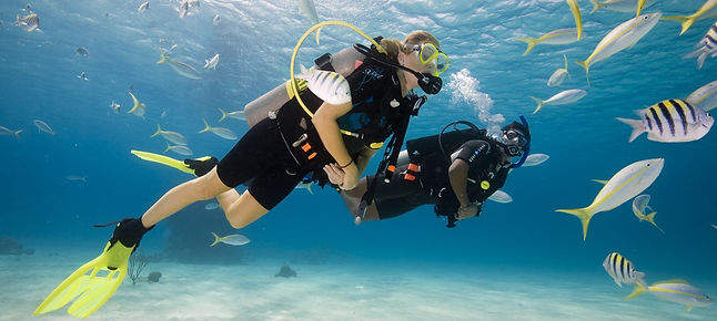 scuba diving equipment octopus
