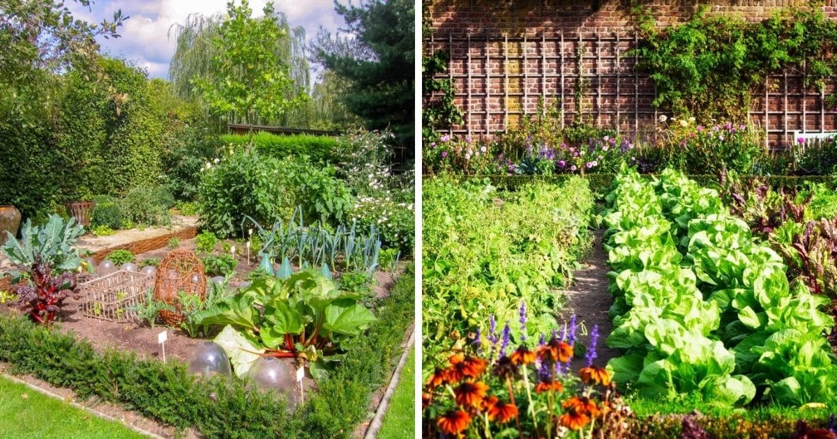 tips on planting a garden