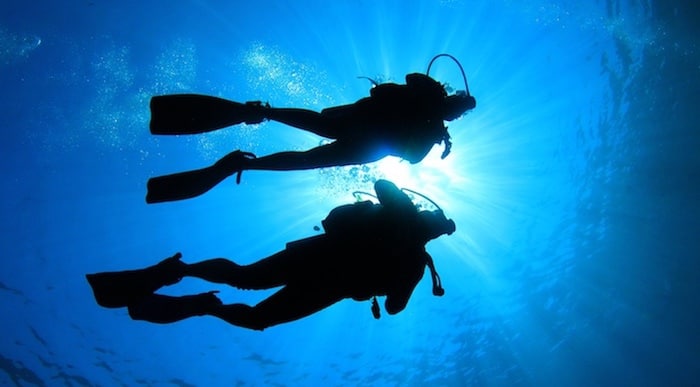 scuba diver certification