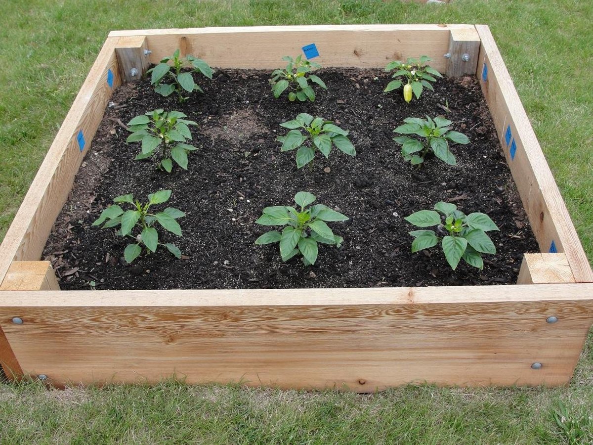 soil mix for organic vegetable gardening